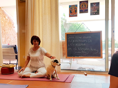 Marta con perro detox